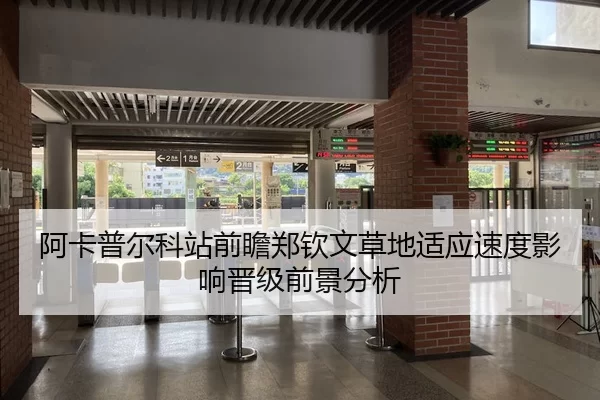 阿卡普尔科站前瞻郑钦文草地适应速度影响晋级前景分析